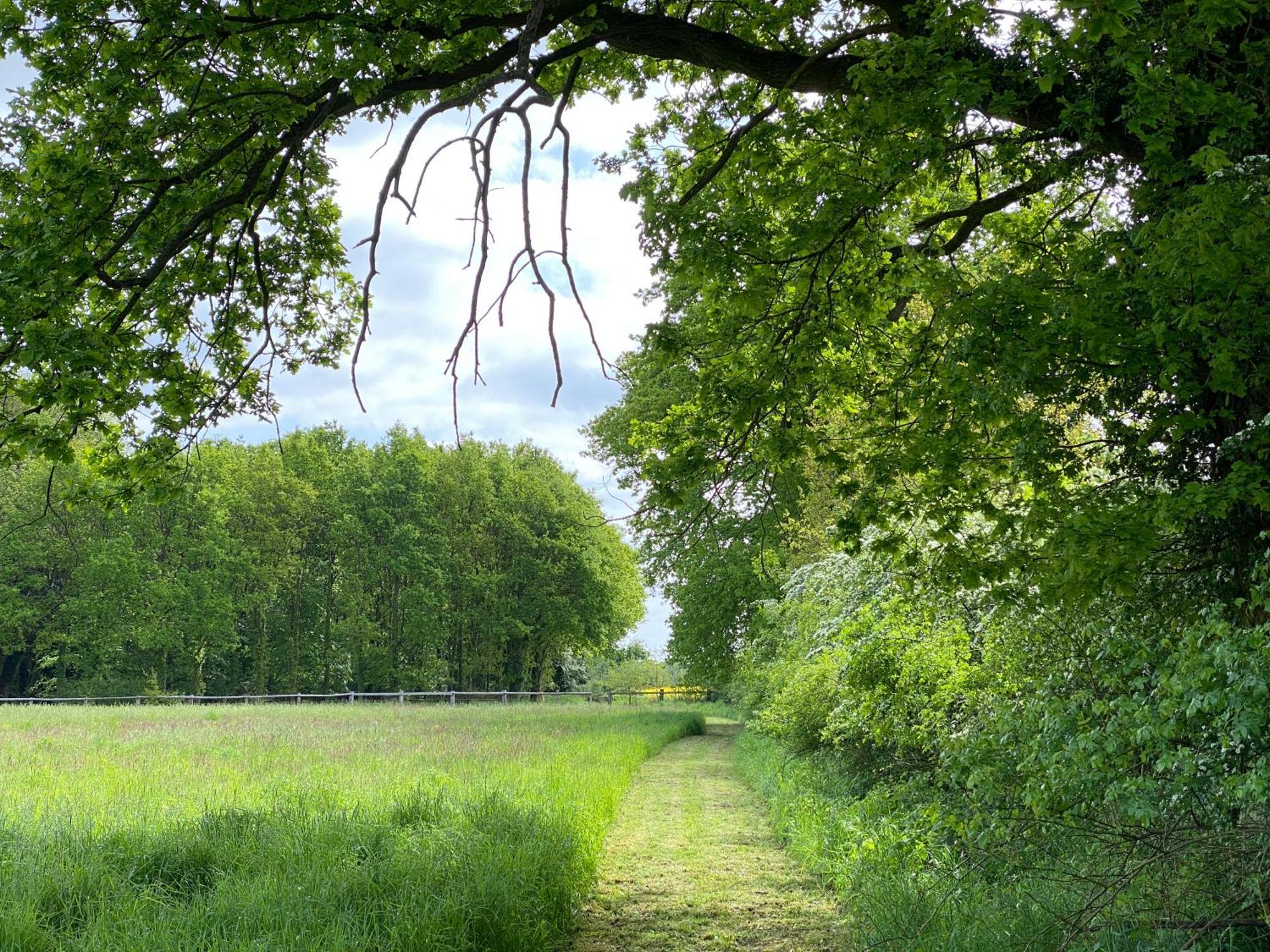 Ferienhaeuser Weitblick Gilten Dış mekan fotoğraf